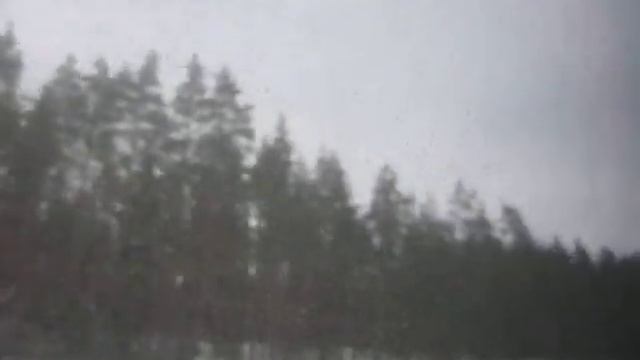 Neoplan N316 SHD Euroliner 3