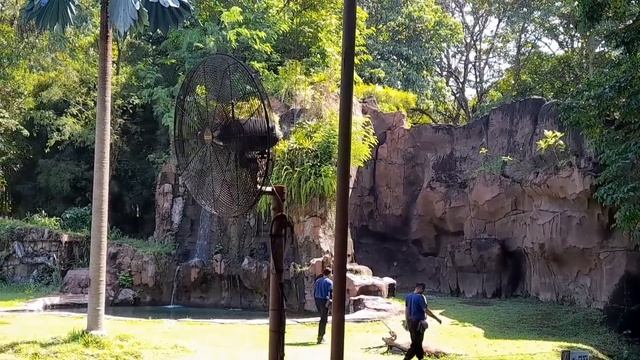 Episode Giselle dan Charlie Main Di Taman Safari Bali смотреть онлайн