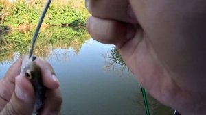 #МОРМЫШИНГ/ОЛТА КОЛИБРИ/ПЕРВЫЕ ВПЕЧАТЛЕНИЕ