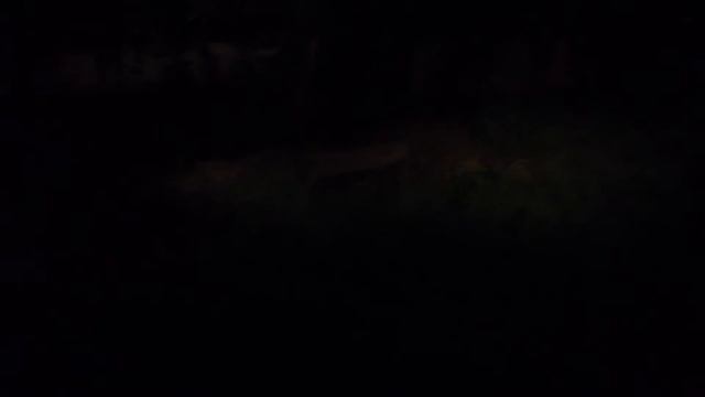 Chiang Mai Night Safari смотреть онлайн