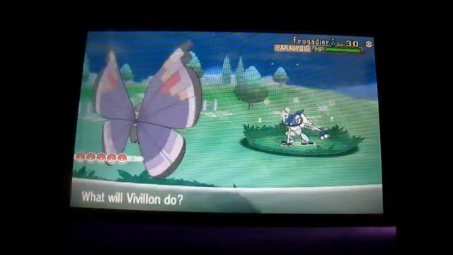 [LIVE] Shiny Frogadier After 1526 REs in Friend Safari (Pokemon X) смотреть онлайн