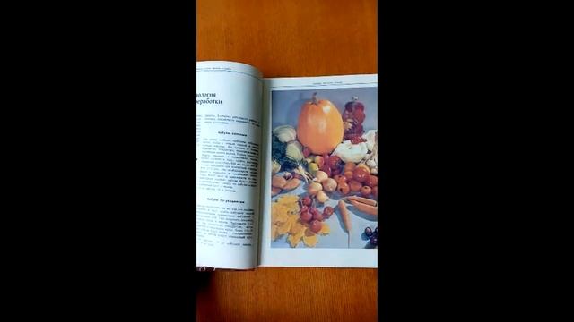 Подборка книг «Летнее ассорти» смотреть онлайн