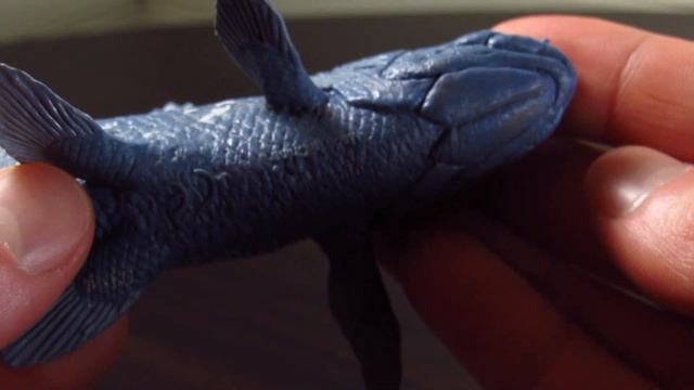 Safari Ltd. Coelacanth! | #LOVEsafari #HowiSafari #sponsored смотреть онлайн