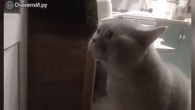 Хозяйка!Открой дверь смотреть онлайн