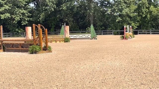 Jackson - Emma Linton - Brave Horse
