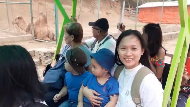 BALUARTE ZOO and SAFARI GALLERY | VIGAN CITY | #BaluarteViganTour смотреть онлайн