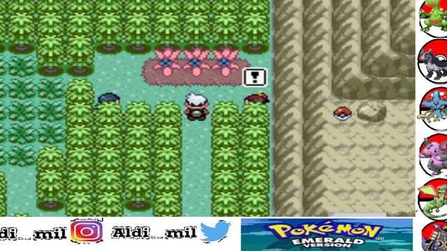 The Buried Fossil And The Blocked Path on Safari Zone - Pokemon Emerald #Extra 3 Walkthrough !! смотреть онлайн