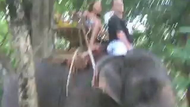 Elephant Riding смотреть онлайн