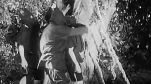 Tarzan and the Green Goddess 1938 | Action Adventure Family | Full Movie Starring Bruce Bennett