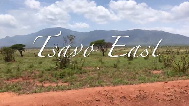 Kenya | Diani Beach & Safari Adventure 2018 смотреть онлайн