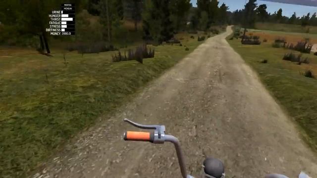 ENCONTREI UM TÚMULO NO MEIO DA FLORESTA - My Summer Car смотреть онлайн