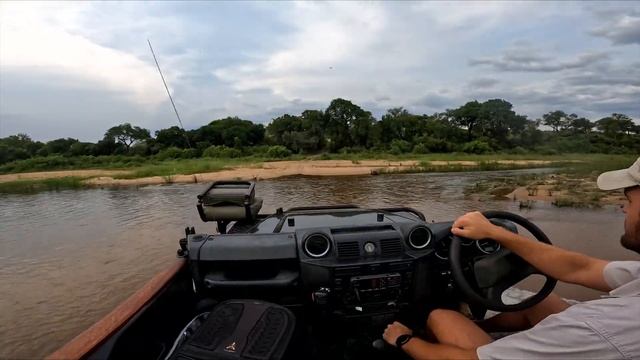 The most incredible sightings of 2022- Virtual Safari #147 смотреть онлайн