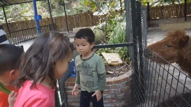 Shenzhen zoo смотреть онлайн