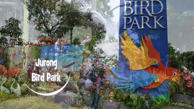 Best of Singapore zoo, Bird Park & Night Safari смотреть онлайн