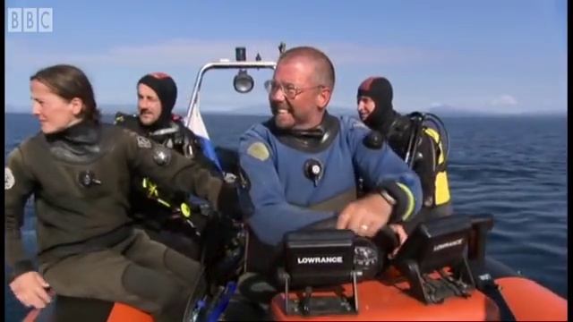 Great White Shark spotted in Britain? | Sharks | BBC Earth смотреть онлайн