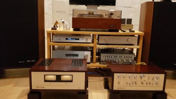 Pioneer Exclusive EW 302