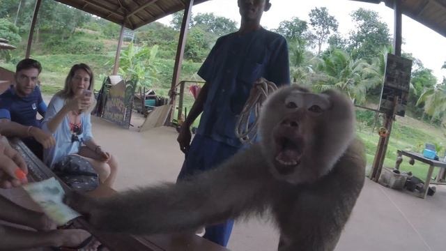 Island Safari Phuket смотреть онлайн