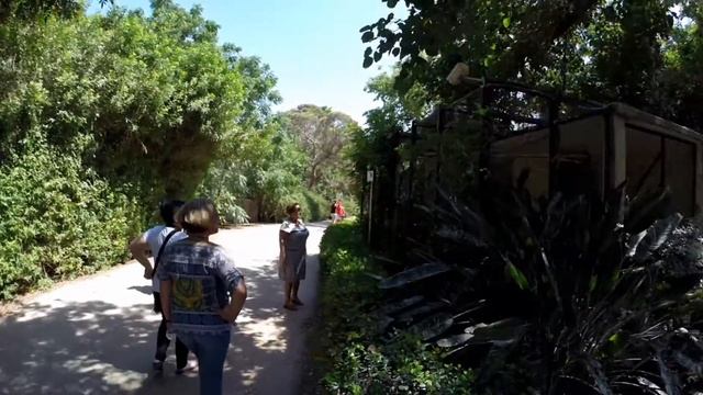 Сафари. Рамат Ган. 25 июня 2016 смотреть онлайн