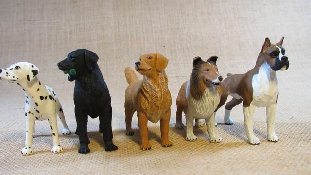 Safari Ltd. Comparison of Dog figurines. Dalmatian, Boxer, Collie, Golden Retriever and puppy, mor смотреть онлайн