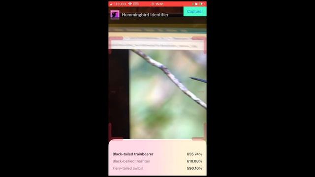 Hummingbirds identification - Identify hummingbirds with powerful AI iOS app смотреть онлайн