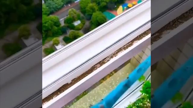 Кто очень любит уют и порядок!