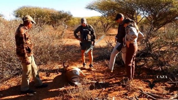 Safari Madu y Jose safari completo con The Hunter´s Dream Safari