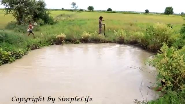 Terrifying!! Three Brave Brothers Catch Extremely Cobra Snake while Fishing -2017 смотреть онлайн