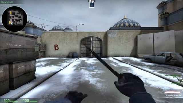 ★ Bayonet | Rust Coat (Battle-Scarred) Showcase