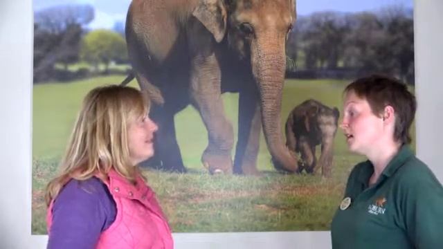 Megan Rix visits Woburn Safari Park as part of her new book The Runaways смотреть онлайн