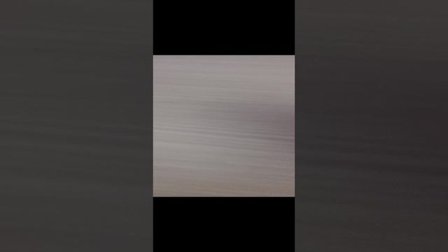 челюсти не знают что это такое за лапка большая смотреть онлайн