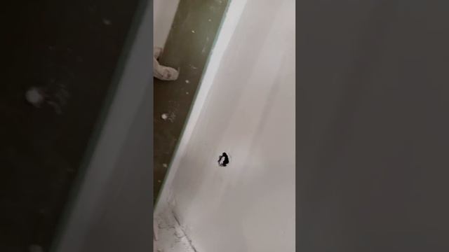 Лайфхаки для двери квартиры life hack for apartment door repair смотреть онлайн