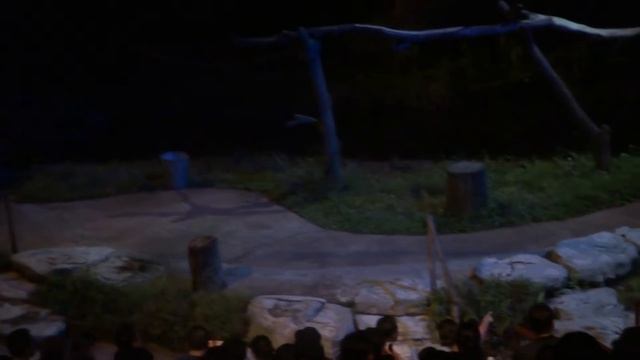 Singapore Vlog Part 1...World's Only Night Safari #ItsWTSWvlog смотреть онлайн