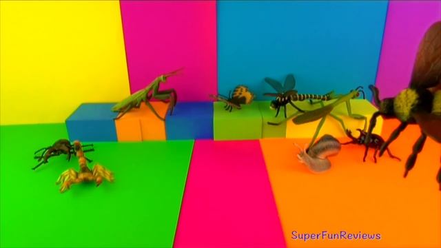 Learn Insect Names, Learn About🐝 Insects And🦋Bugs🐛Beetles, 🕷Spiders - Kids Toys