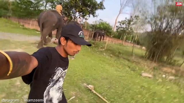 হাতীৰ দাঁতত বহি RIDE - Adventurous Elephant Safari in Kaziranga смотреть онлайн