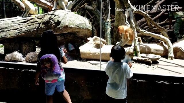 Bali Safari & marine park смотреть онлайн