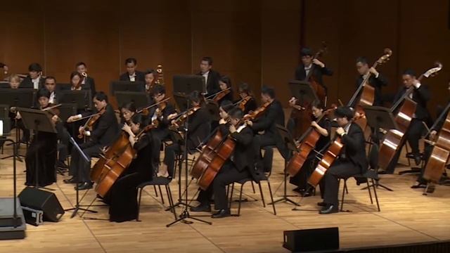 Nessun dorma - 2017 by KL Wong смотреть онлайн