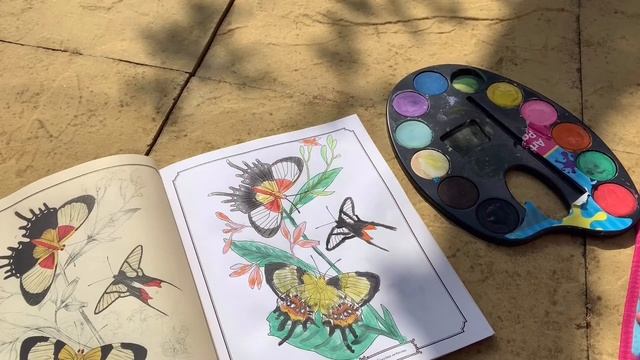 VG&M Crafts at home - Secret Bamboo Artwork смотреть онлайн