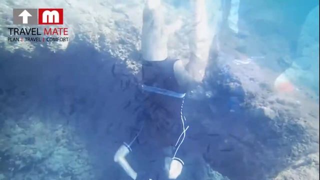 Maldives Snorkeling Safari смотреть онлайн