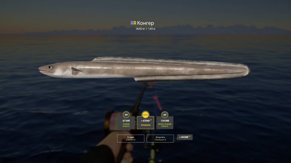 Русская Рыбалка 4 [PC 2018] 🐟 идём ловить что нибудь редкое