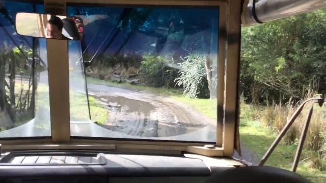 DISNEY ANIMAL KINGDOM SAFARI RIDE 2017 смотреть онлайн