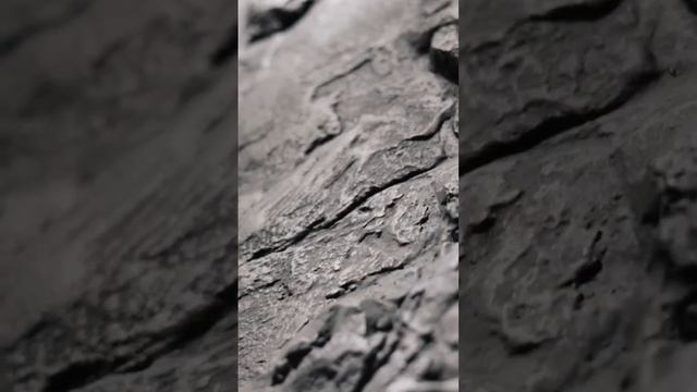 В нашей студии на Щорса представлено 4 направления: кухни и мебель, лепнина, декоративка и ландшафт