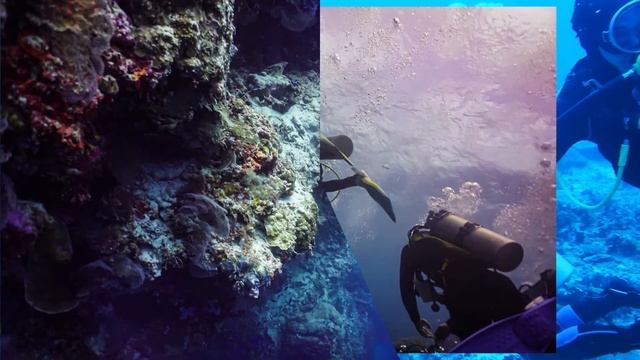 Mini Dive Safari DAY 3 of 3 | OSLOB & SUMILON | E&Z Diving Center смотреть онлайн