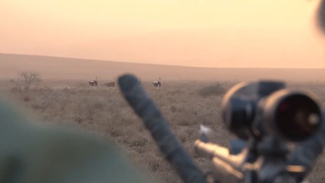 Hunt Tanzania with Robin Hurt Safaris смотреть онлайн