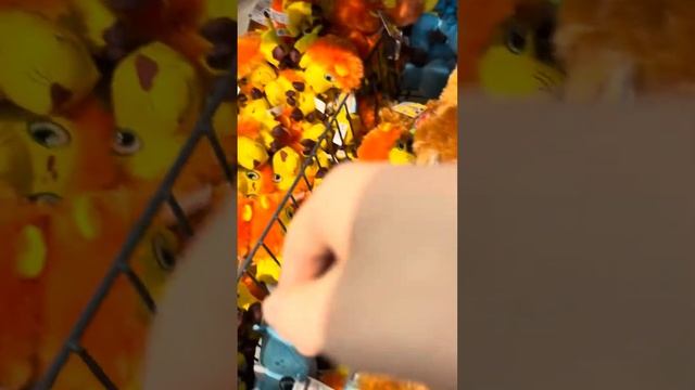 Safari’s mini’s helaas was de olifant er niet 😢 смотреть онлайн