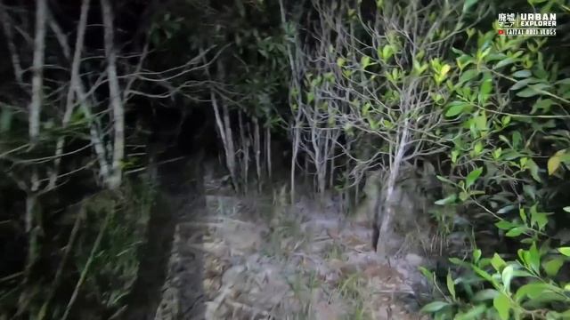 Sisa Bangunan JOHOR SAFARI WORLD (1982-1984) Di Temui …TERSEMBUNYI Di Bawah Pokok смотреть онлайн