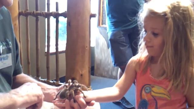 My Granddaughters-Brave & Curious смотреть онлайн