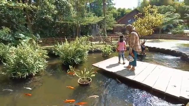 Bali safari & marine park | 2022 #balisafari #marinepark #bali смотреть онлайн