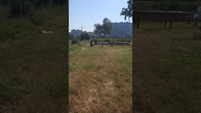 Дом из СИП панелей в Адыгее. День 4. смотреть онлайн