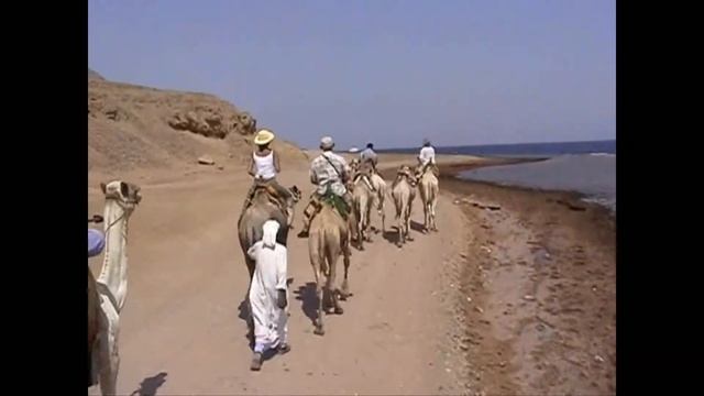 Egypt, Camel safari in the Sinai Peninsula 2007 смотреть онлайн