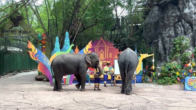 Elephant show @safari world bangkok,thailand смотреть онлайн